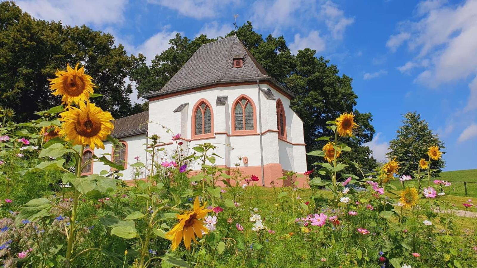Ferienhaus Deine Zeit Mit Sauna Und Wallbox Nettersheim Extérieur photo